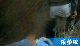 国产野战直播,揭秘现代军事训练的真实面貌